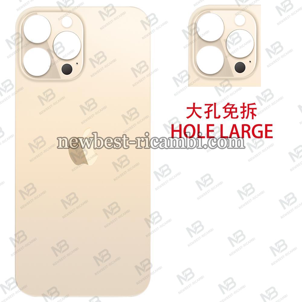 iPhone 13 Pro Max Back Cover Glass Hole Large Gold