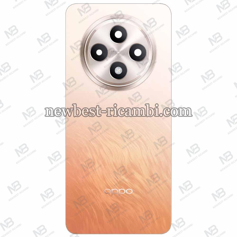 Oppo Reno 12 FS 5G (CPH2637) Back Cover + Camera Glass Orange